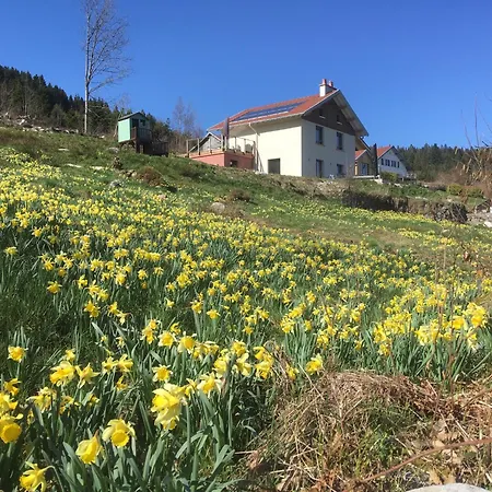 Gites De L'Alise, Gerardmer *