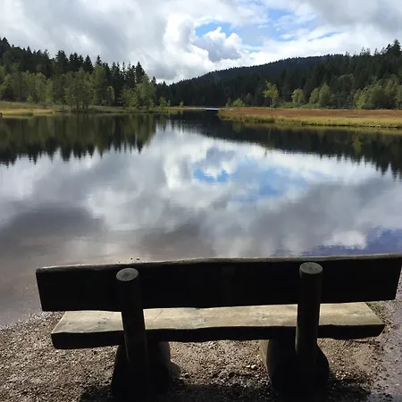 Holiday home De L'alise, Gerardmer