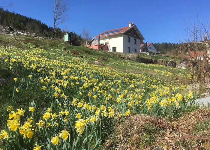 Gites De L'Alise, Gerardmer *