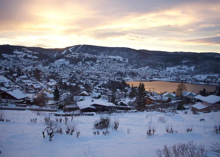 Gites De L'Alise, Gerardmer Holiday home *