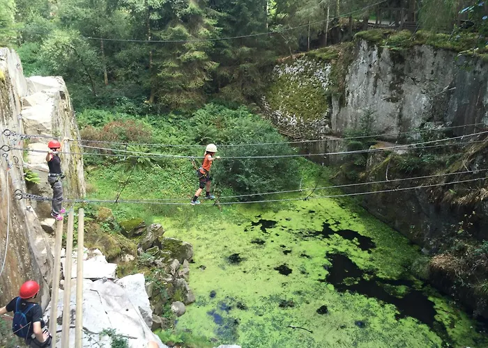 Gites De L'Alise, Gerardmer Holiday home Gerardmer