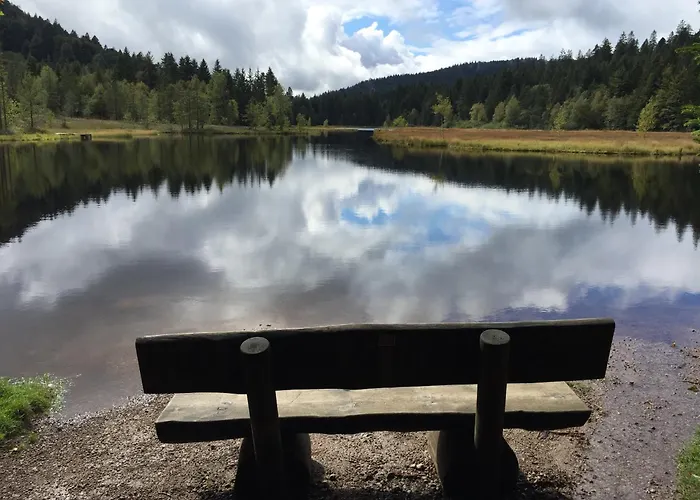 Holiday home Gites De L'Alise, Gerardmer Gerardmer