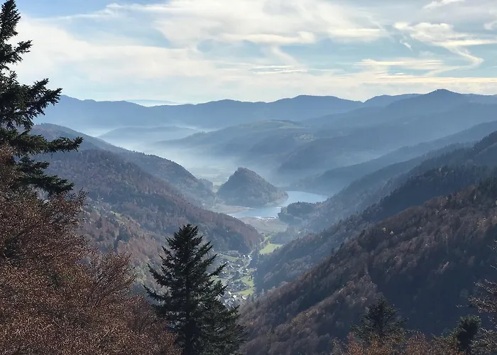 Gites De L'Alise, Gerardmer Holiday home *