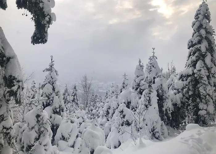 Holiday home Gites De L'Alise, Gerardmer